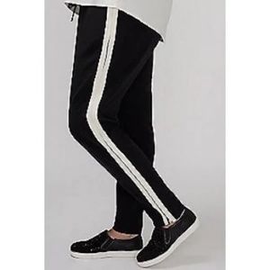 NWT  Lane Bryant Side Line Jogger Pant